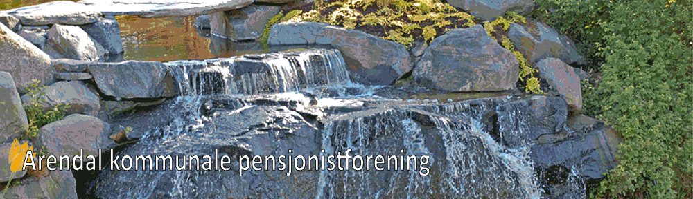 Arendal kommunale pensjonistforening